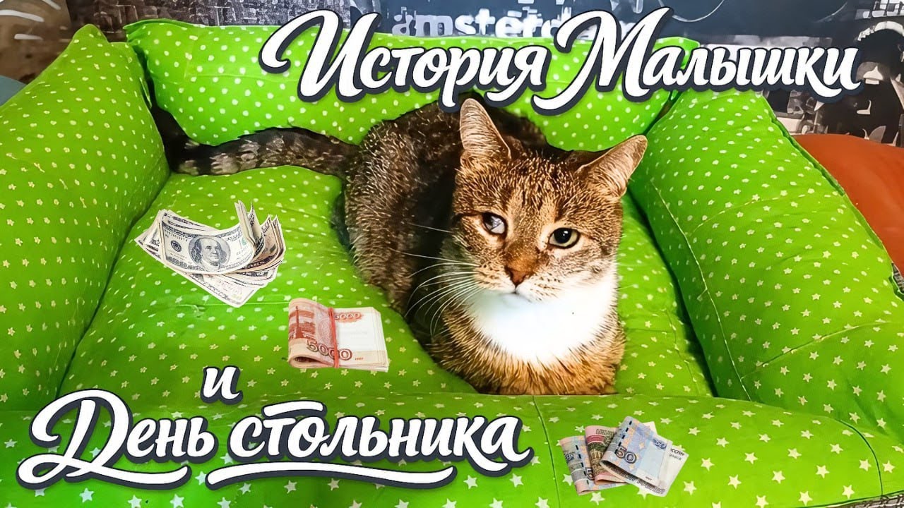 История Малышки и День стольника. 