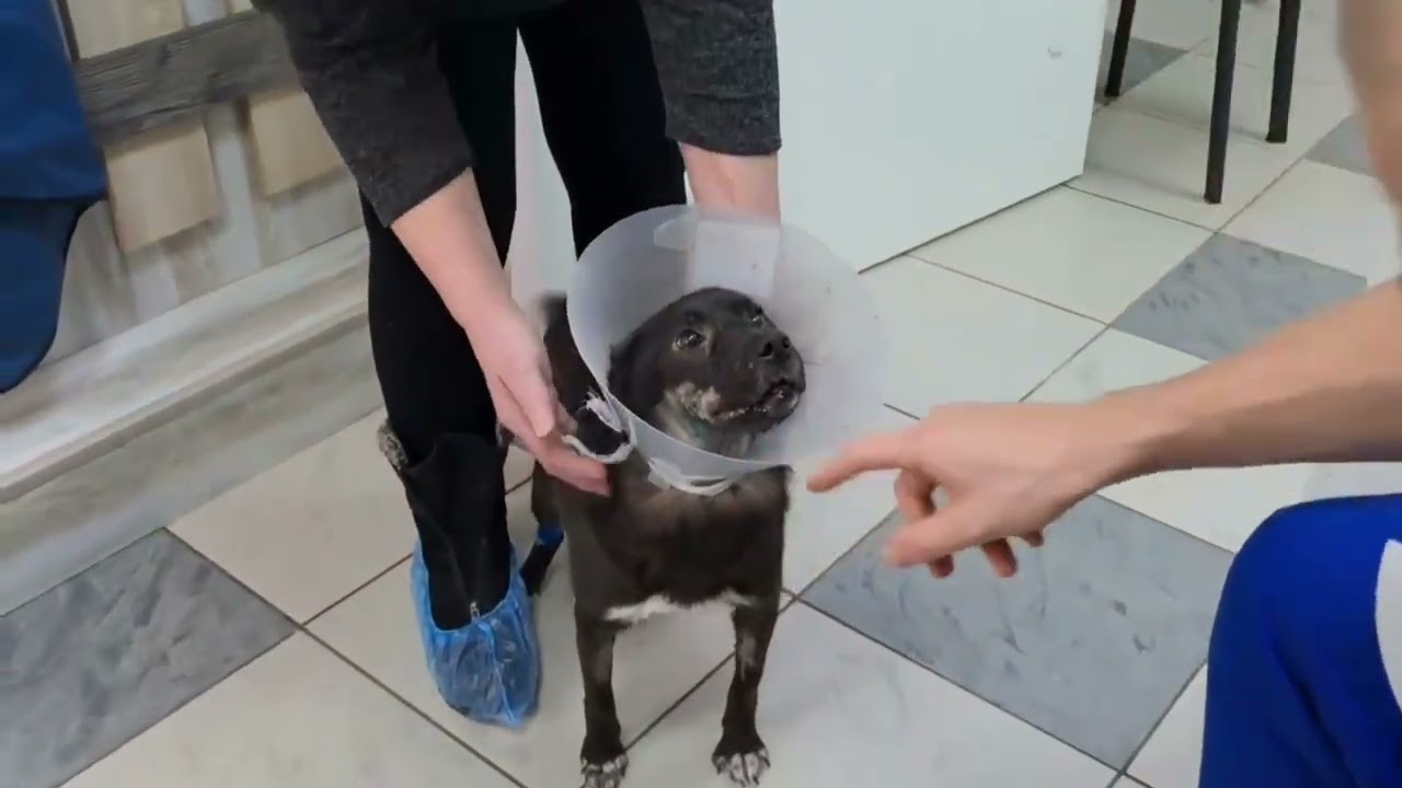 Конец мучениям. Оливия