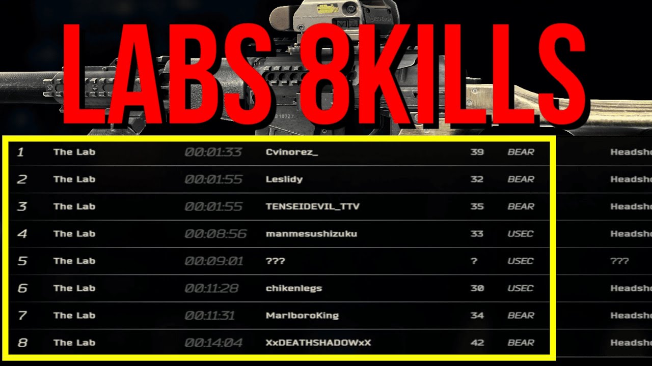 【タルコフ】VSSでラボキラー8 (Full Raid)