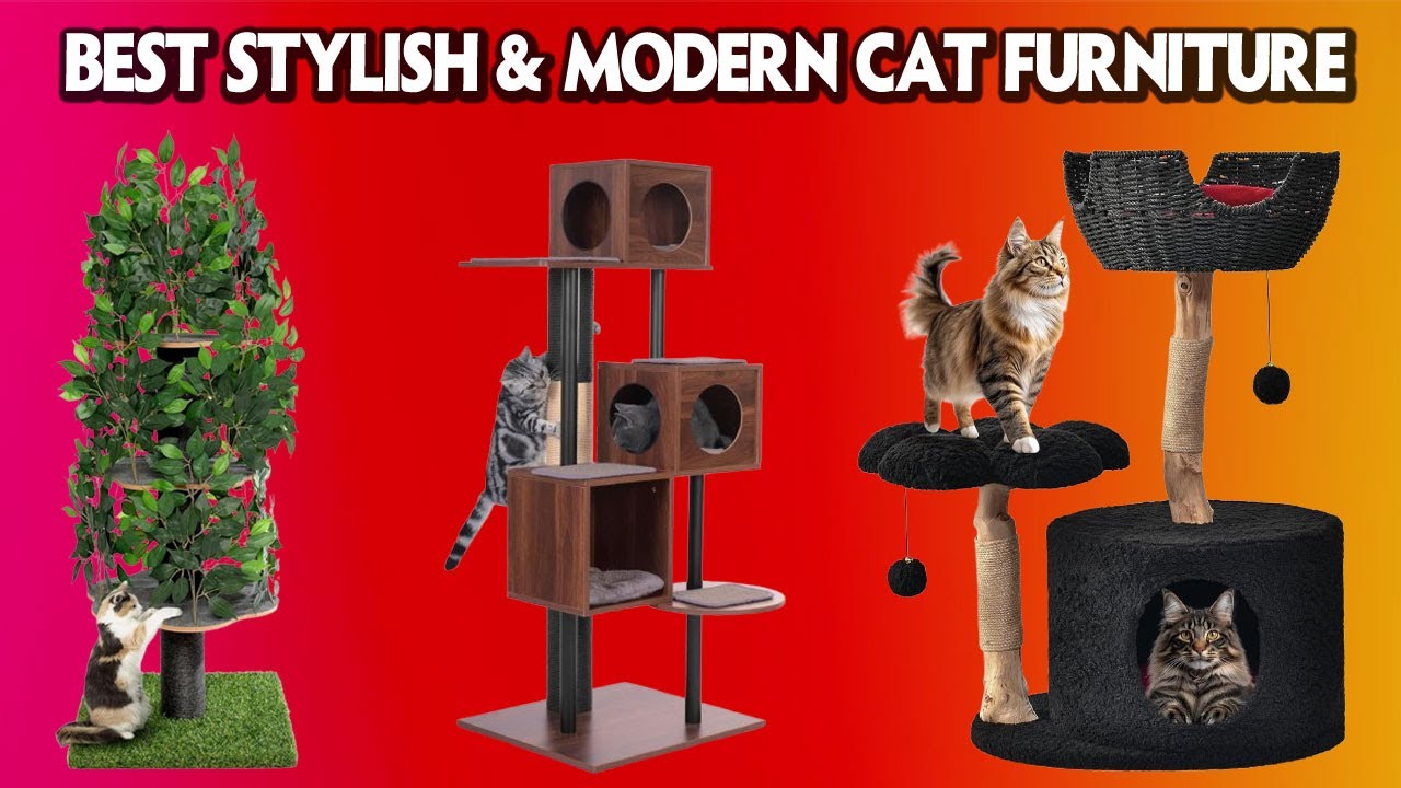 Top 5 Best Stylish & Modern Cat Furniture 2025