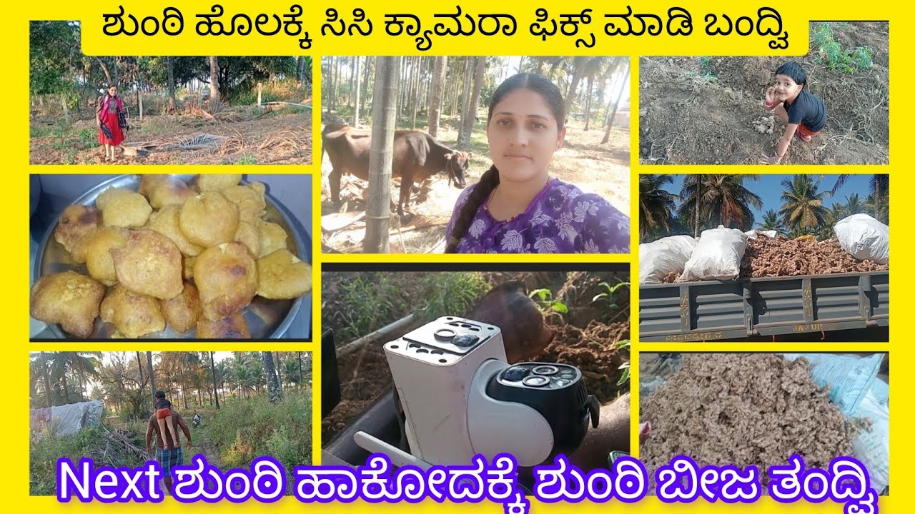 ಕಳ್ಳರು ಜಾಸ್ತಿ ಆಗಿದ್ದಾರೆ ಹಾಗಾಗಿ ಶುಂಠಿ ಹೊಲಕ್ಕೆ ಸಿಸಿ ಕ್ಯಾಮೆರಾ ಫಿಕ್ಸ್ ಮಾಡಿ ಬಂದ್ವಿ.