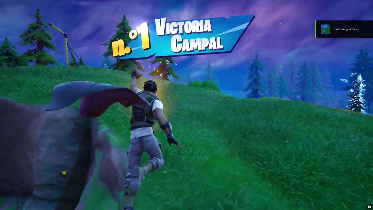 FORTNITE  ¡No , Victoria Real!