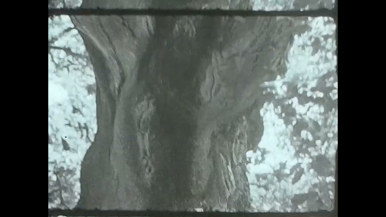 Sous les lumières du Sud