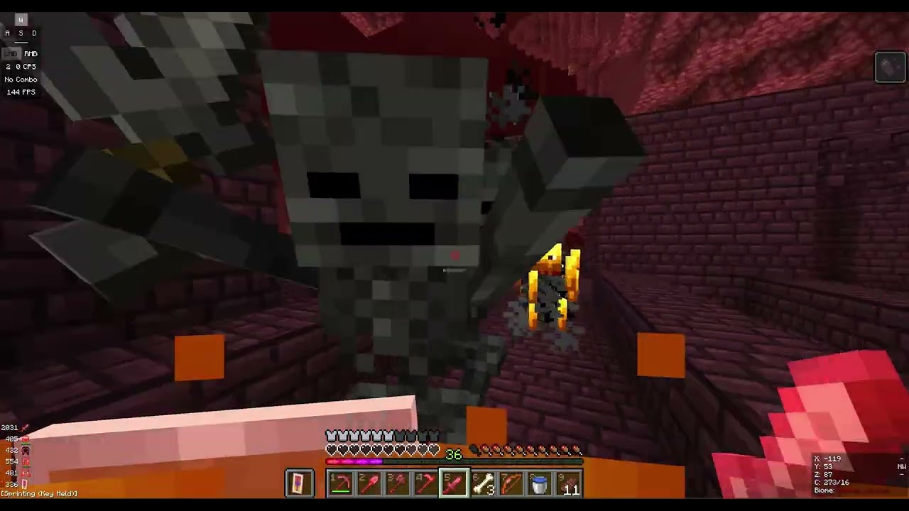Witherskelettköpfe | Survival #26