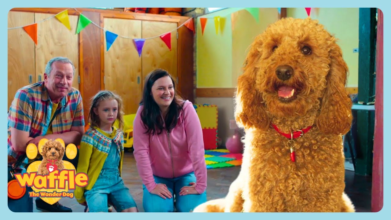 Good Luck Training Waffle! - Waffle the Wonder Dog | Best Shows for Kids 2025 | WildBrain Zigzag