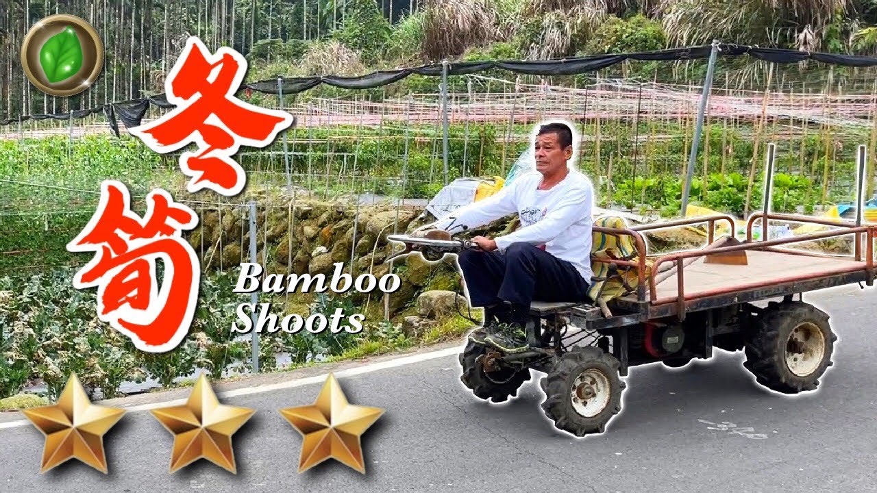 野味28集 | 冬筍 | 魷魚螺肉蒜 | Bamboo shoot | 萍哥Pinger