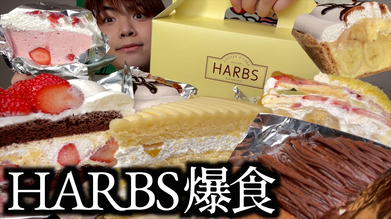 【大食い】ケーキ専門店HARBSの高級ケーキをお腹いっぱいまで食べたら幸せ過ぎました【モッパン】