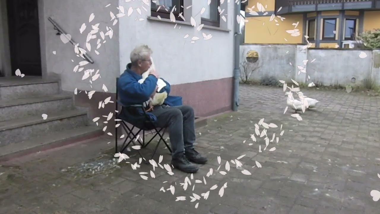 Weihnachten 2024