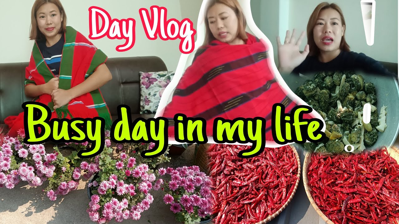 Day Vlog || Busy day in my life||#housewife #cooking #busy #day #vlog  @NsungVlogs 