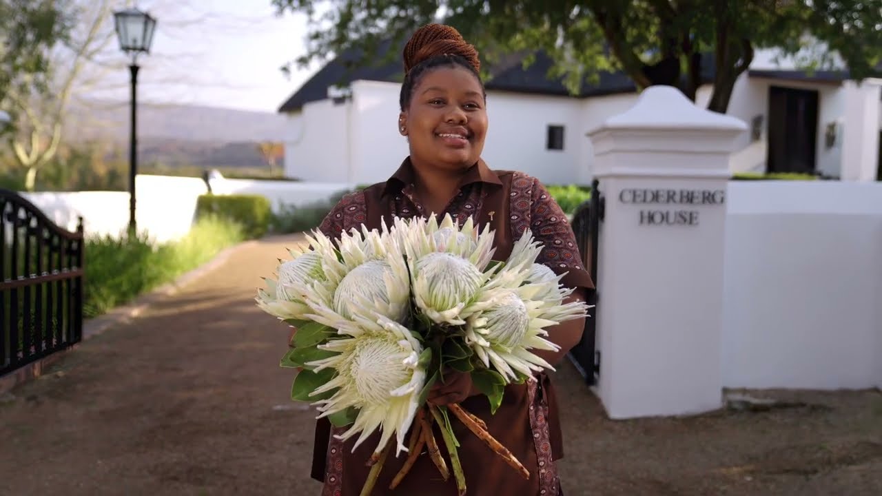 Welcome to Bushmans Kloof Wilderness Reserve and Wellness Retreat