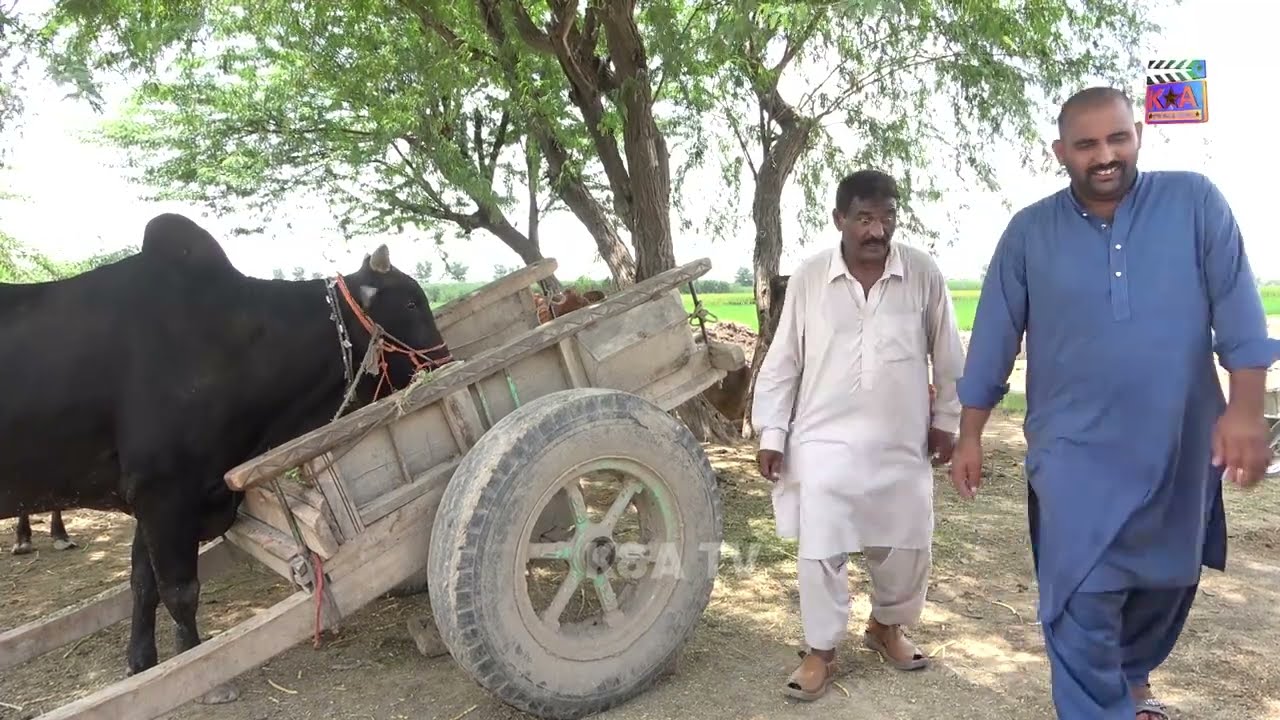 Nawab vs Nokar-2 /Airport/Helmet/Rocket/1122 New Funny /Punjabi Comedy video 2022 /K&A TV