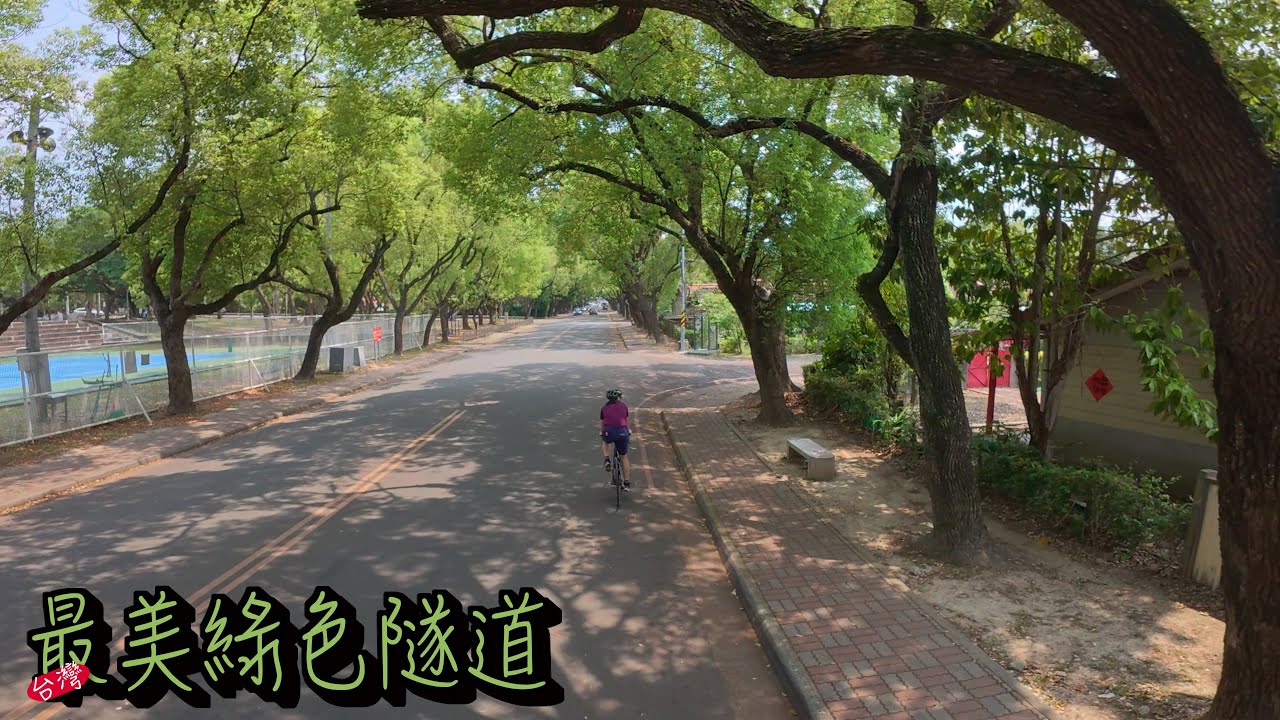 南投中興新村_綠色隧道你有騎過嗎？居然台灣省政府還在？！｜AJC​⁠阿杰西