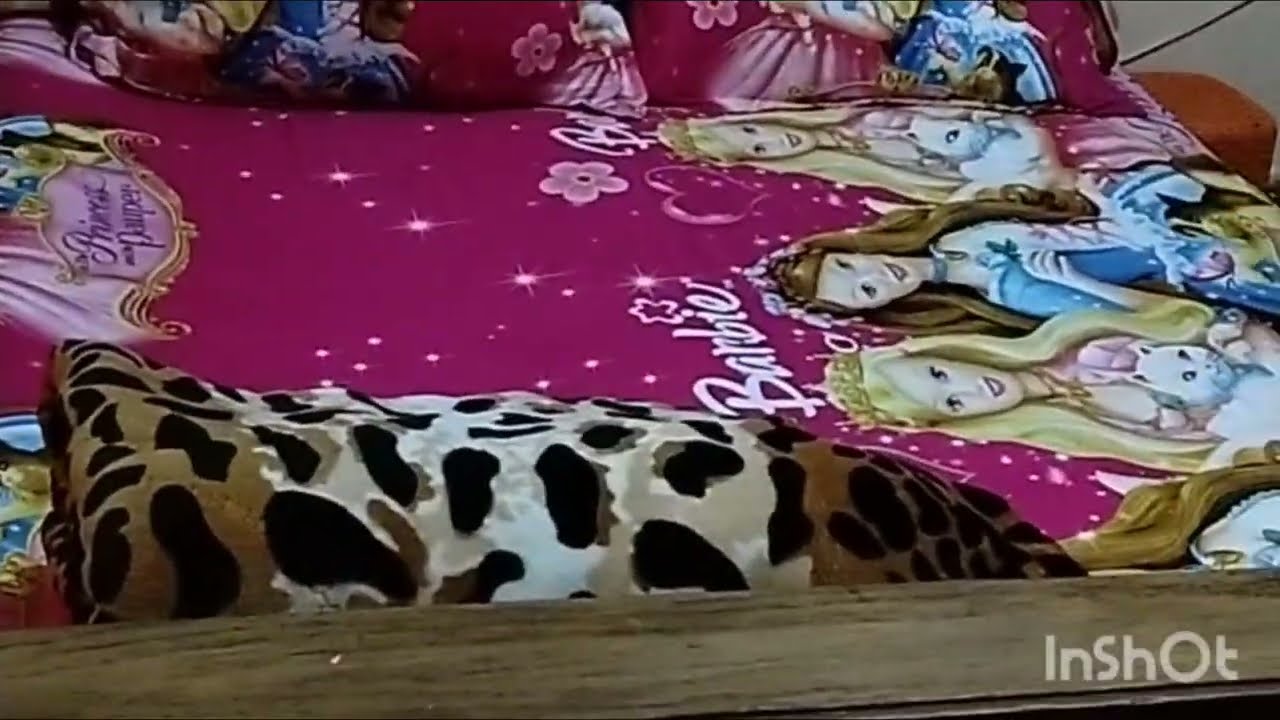 روتين قوي تشجيعي وتحفيزي وقومي خلصي اللي وراكي وتحدي الكسل وقومي تنظيف البيت