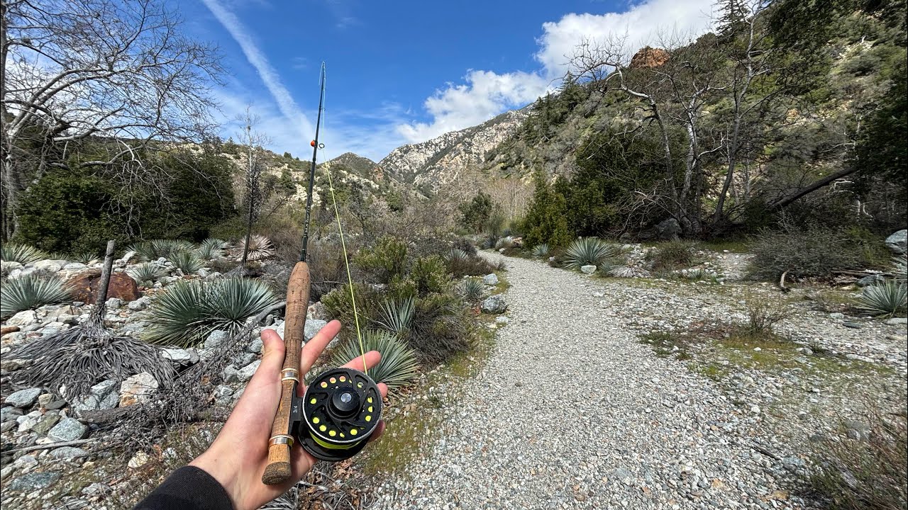 Southern California Stream FlyFishing for Wild Trout