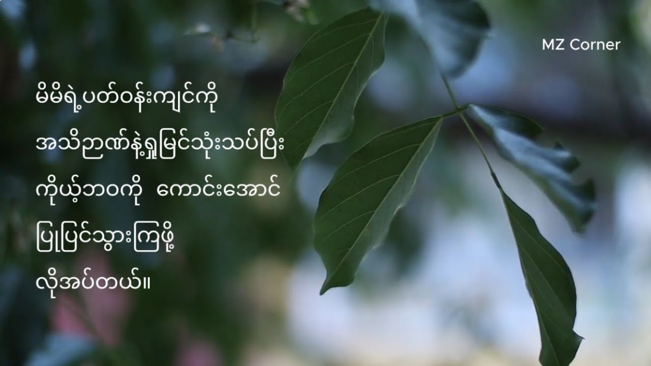 ပတ်ဝန်းကျင်ကို ရှုမြင်၍ မိမိကိုယ်ကို ပြုပြင်ခြင်း - ပါမောက္ခချုပ်ဆရာတော် ဒေါက်တာနန္ဒမာလာဘိဝံသ