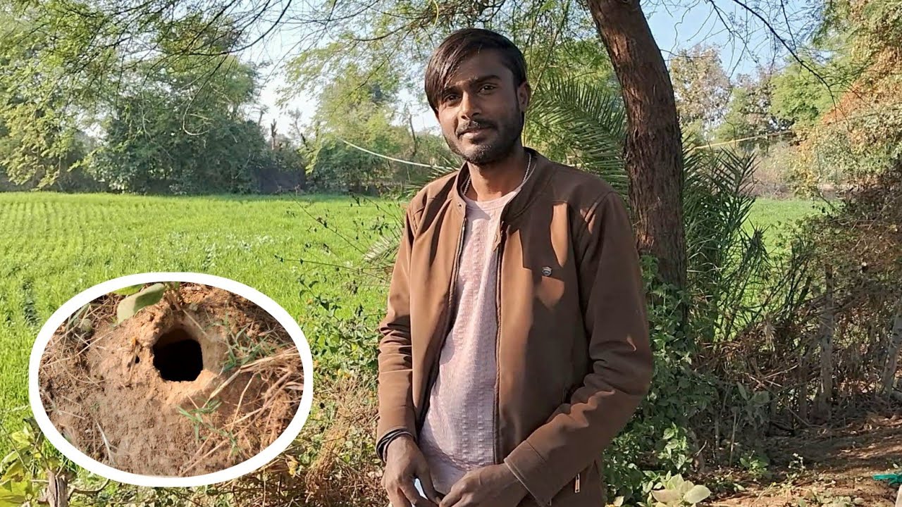 Khet Mein saamp ki Phool Mili