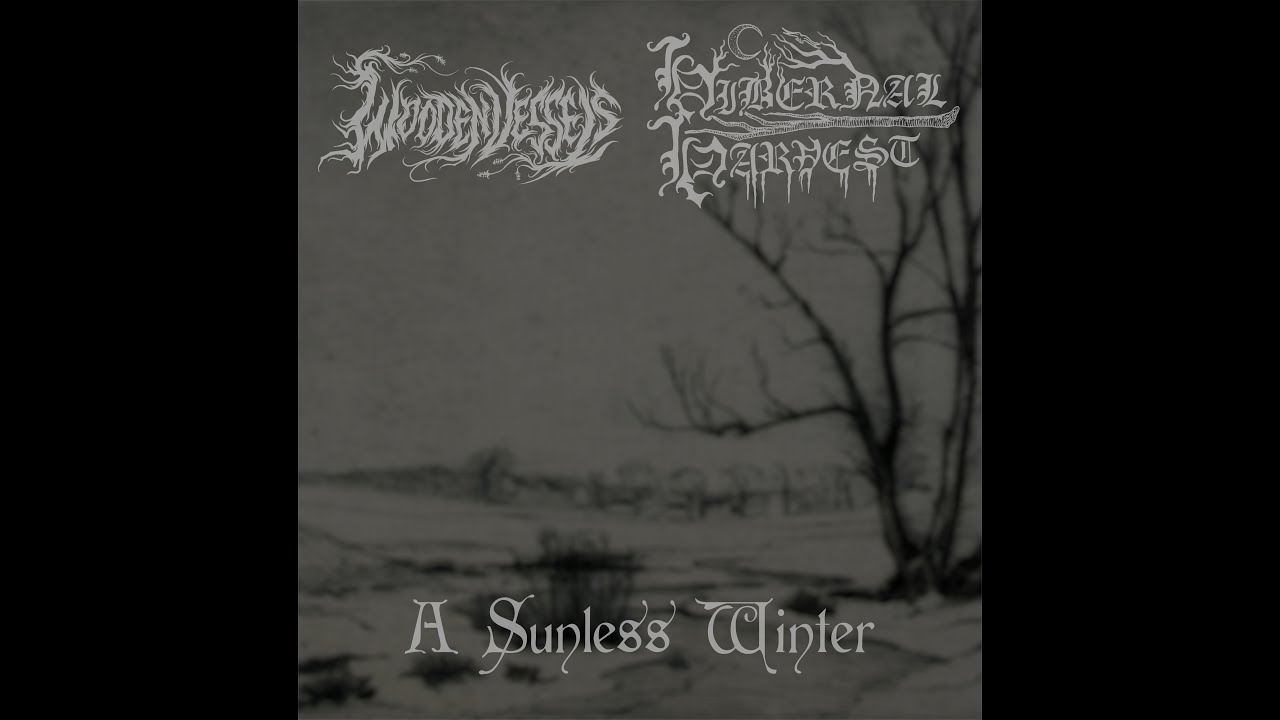 Wooden Vessels - ...and comforted by the falling snow... (Official Audio)