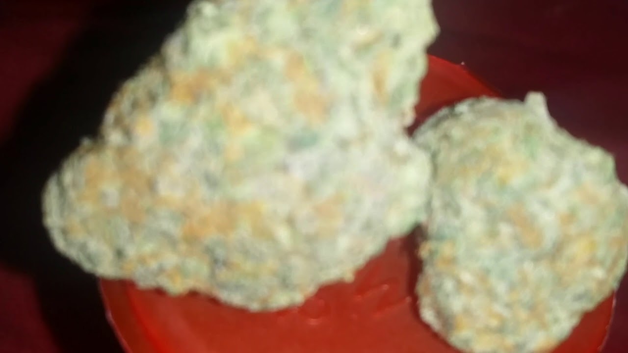 Gushers gelato cookies sf weed