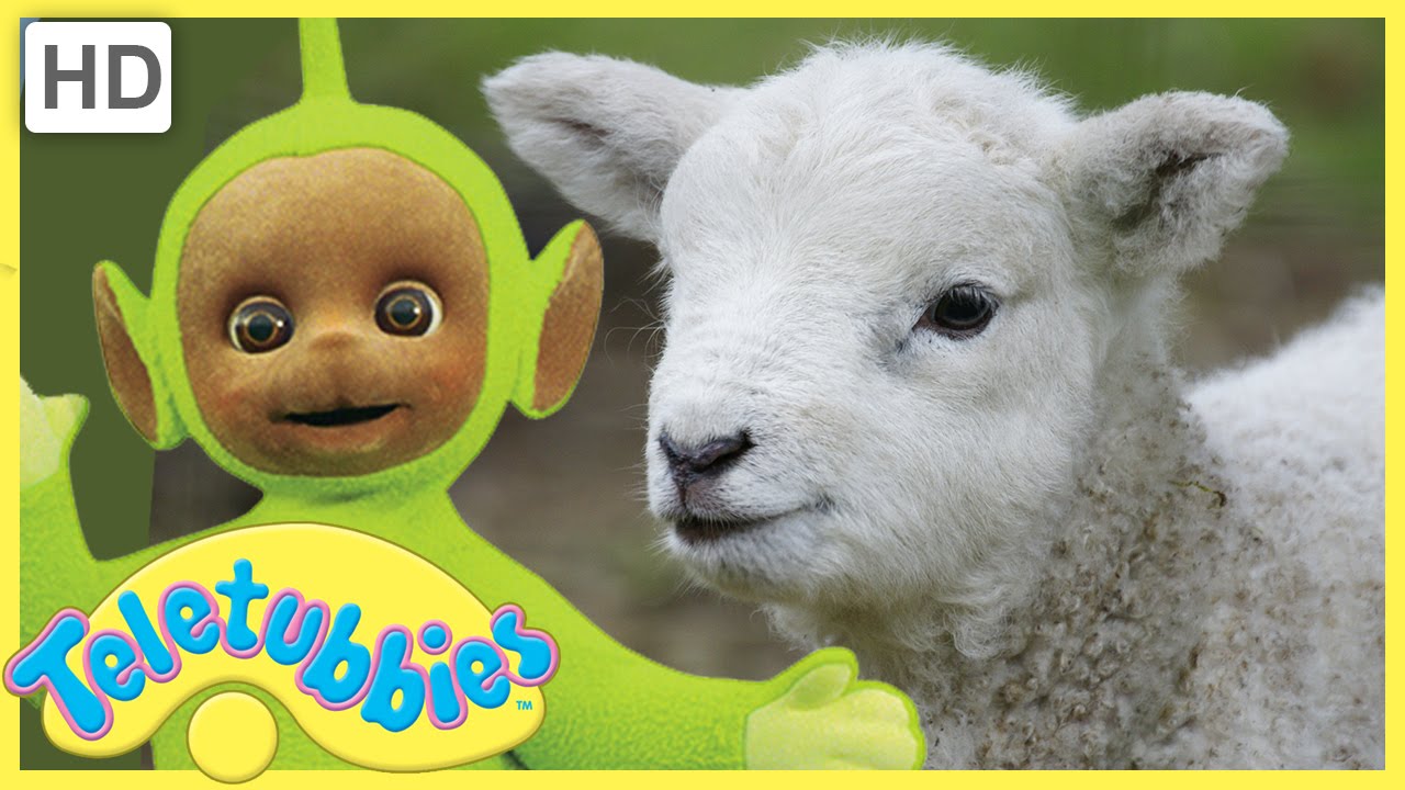 Teletubbies Full Episode - Mary Had a Little Lamb | Episode 257