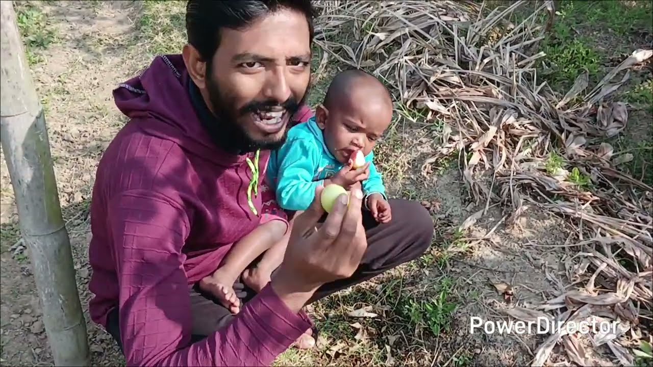 রংবাহারি কুলবাগান #কুলবাগান #কুল #বাগান #কুলচাষ  