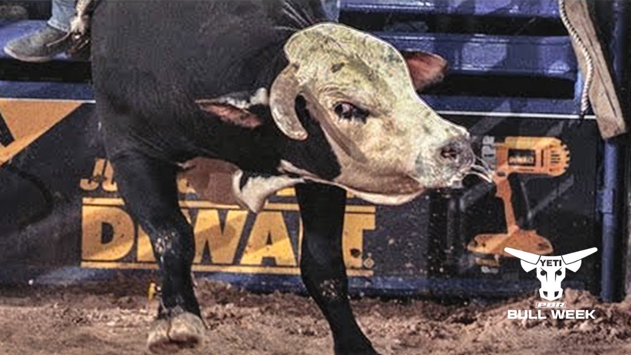 PBR Legend: Dillinger