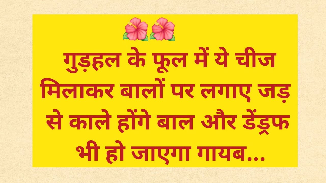 गुड़हल का जादुई नुस्खा: दो चीज़ें मिलाओ, बाल चमकदार बनाओ”