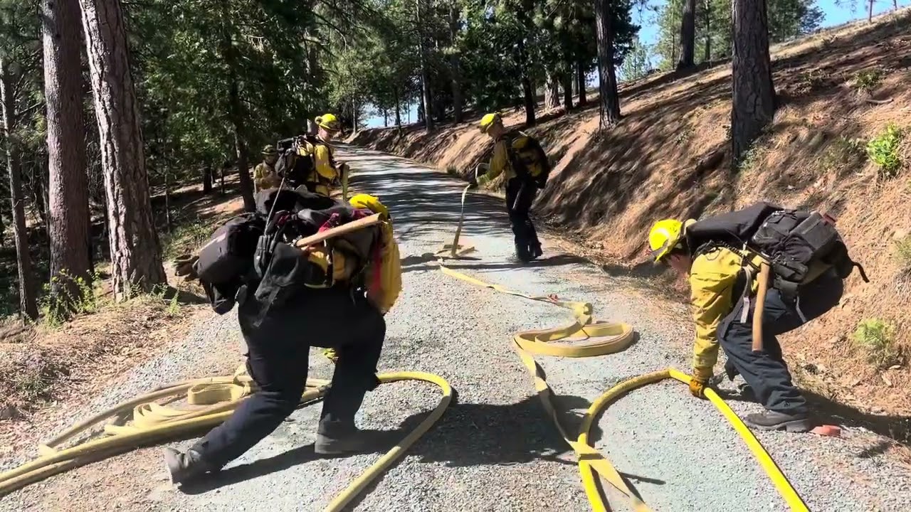 Practicing Progressive Hose Lays (CAL FIRE AEU's Battalion 3)