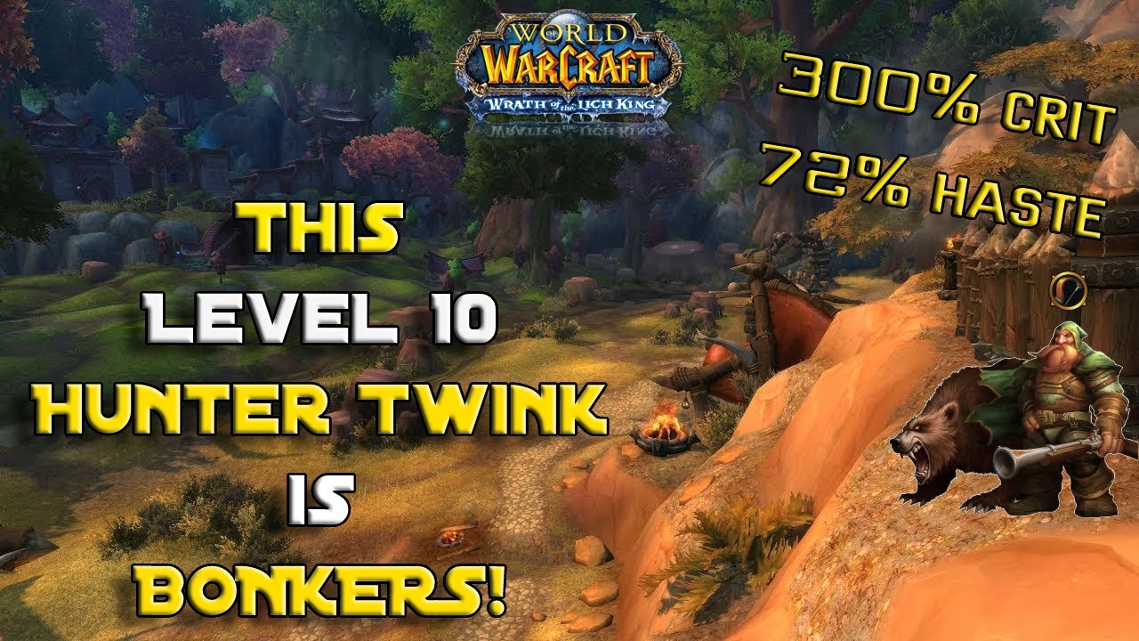 DINWINGA -  300% crit - 10 HUNTER TWINK - WOW CLASSIC WOTLK PRE-PATCH!