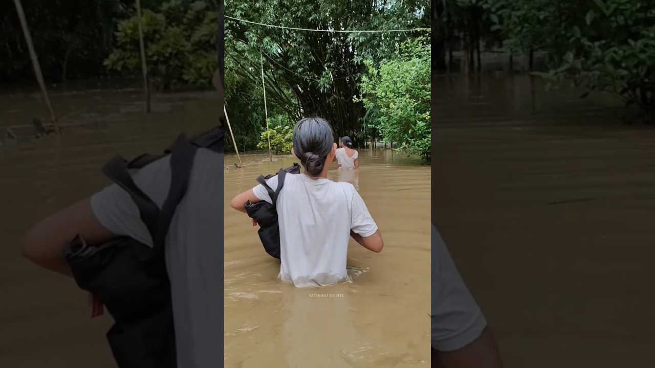 Assam Flood: The Real Struggle Begins 💔🌊