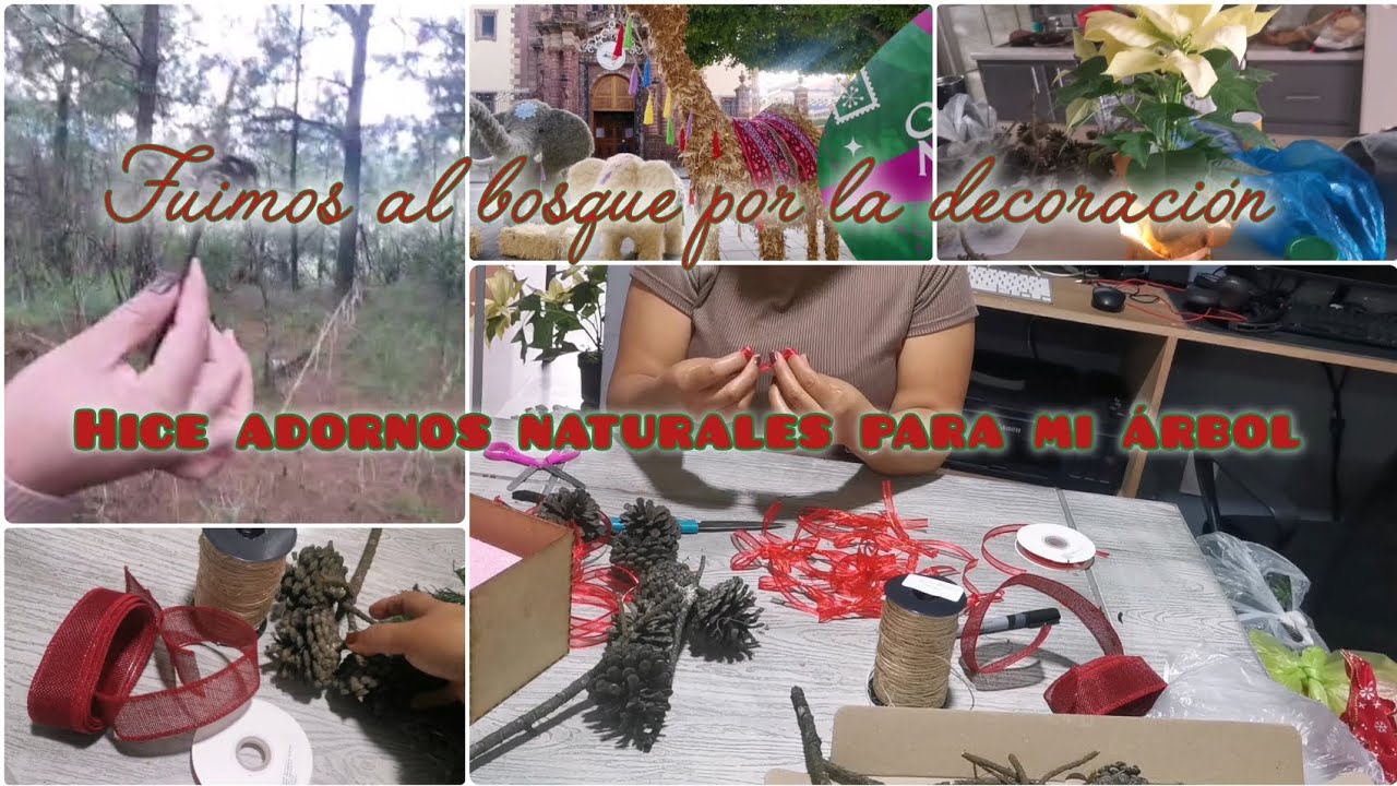 Decoración para el árbol sin gastar tanto, vean lo que encontramos en el bosque 🎄