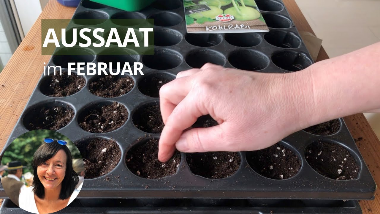 Aussaat im Februar - diese Gemüse ziehe ich im Februar vor + Tipps zur Aussaat