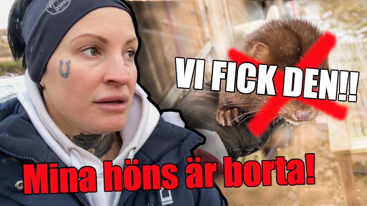 Äntligen är den DÖD || Vi gömmer oss i skogen! || Vardagsvlogg 24