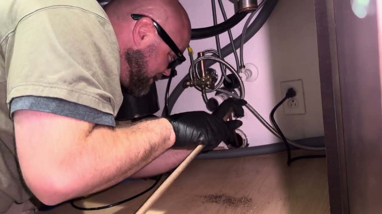 Snake got stuck in the kitchen drain!!!