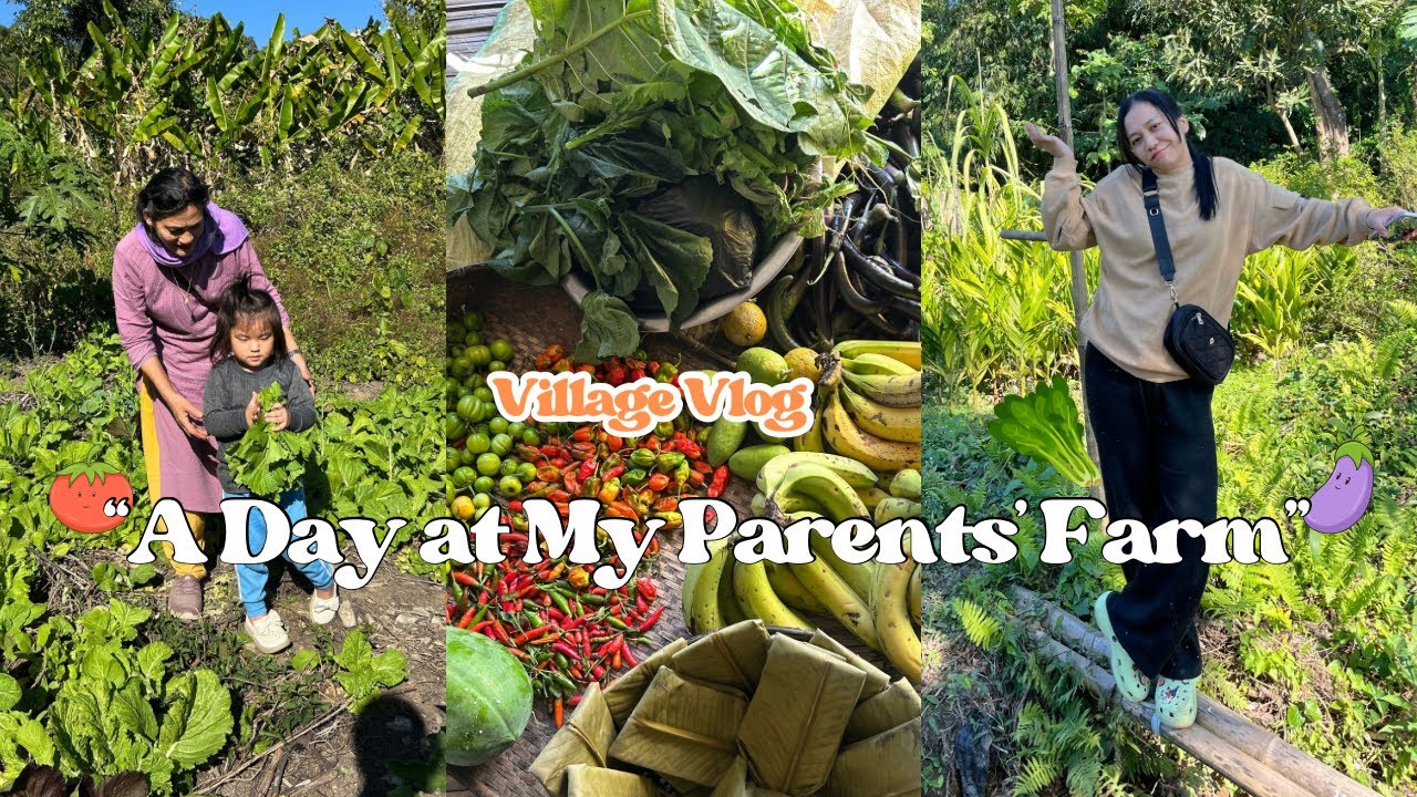 🌼VILLAGE Life VLOG: 🍃Visiting My Parents’ Farm with the Whole Family | Picking fresh vegetables🍆🥬🌶️