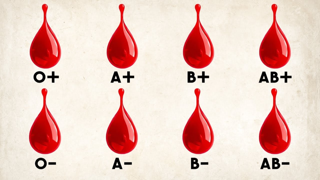 Lo que tu tipo de sangre revela sobre ti (te sorprenderá)