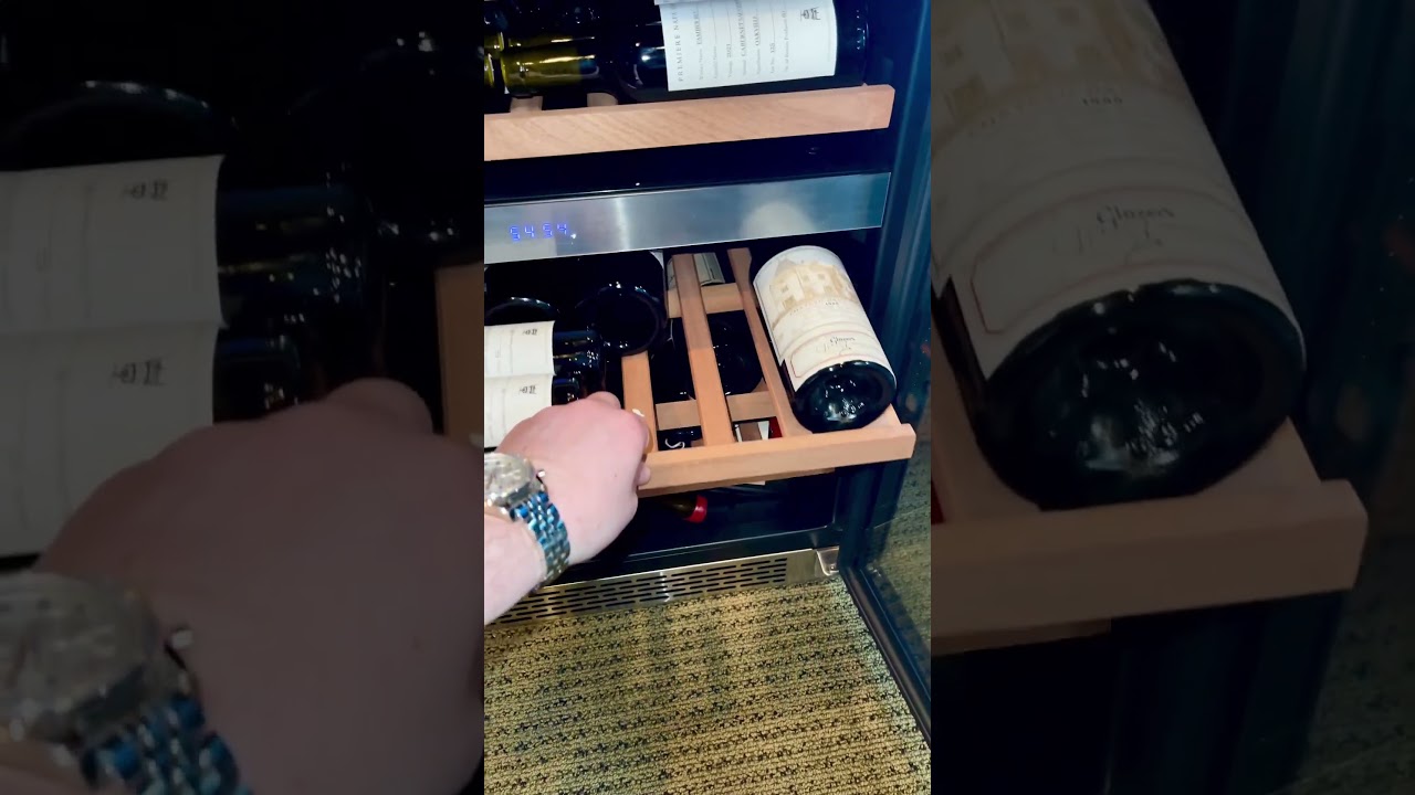 Best Dual Zone Wine Fridge 2023!