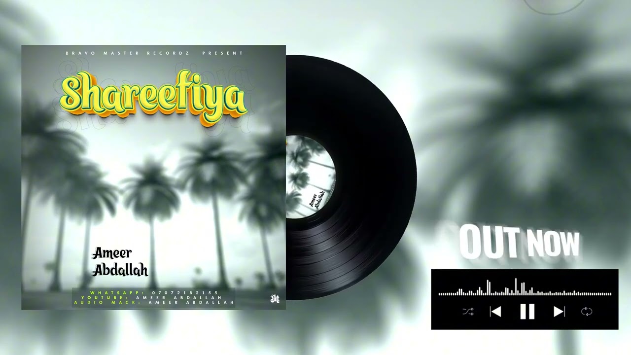 Ameer Abdallah Shareefiya Official Music Audio 2025