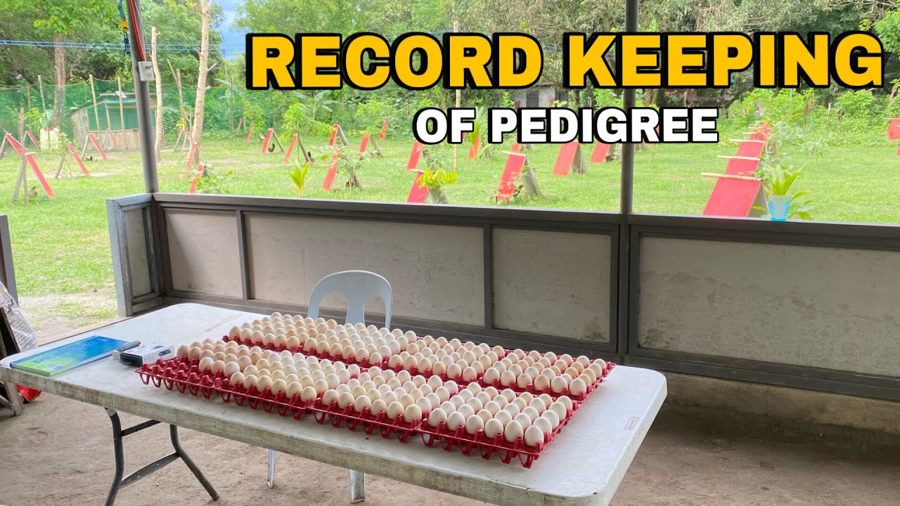 Record Keeping of Pedigree or Bloodline