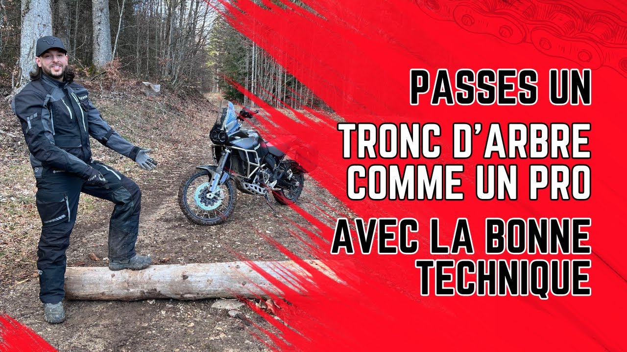 Passes un tronc d'arbre comme un PRO 🔥
