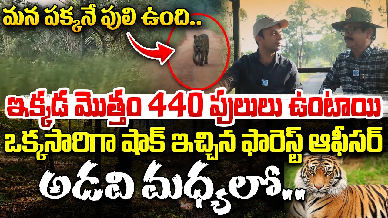 Anand Reddy, IFS D.F.O, Tadoba Andhari Chandrapur, MH Interview | Crime Diaries With Muralidhar