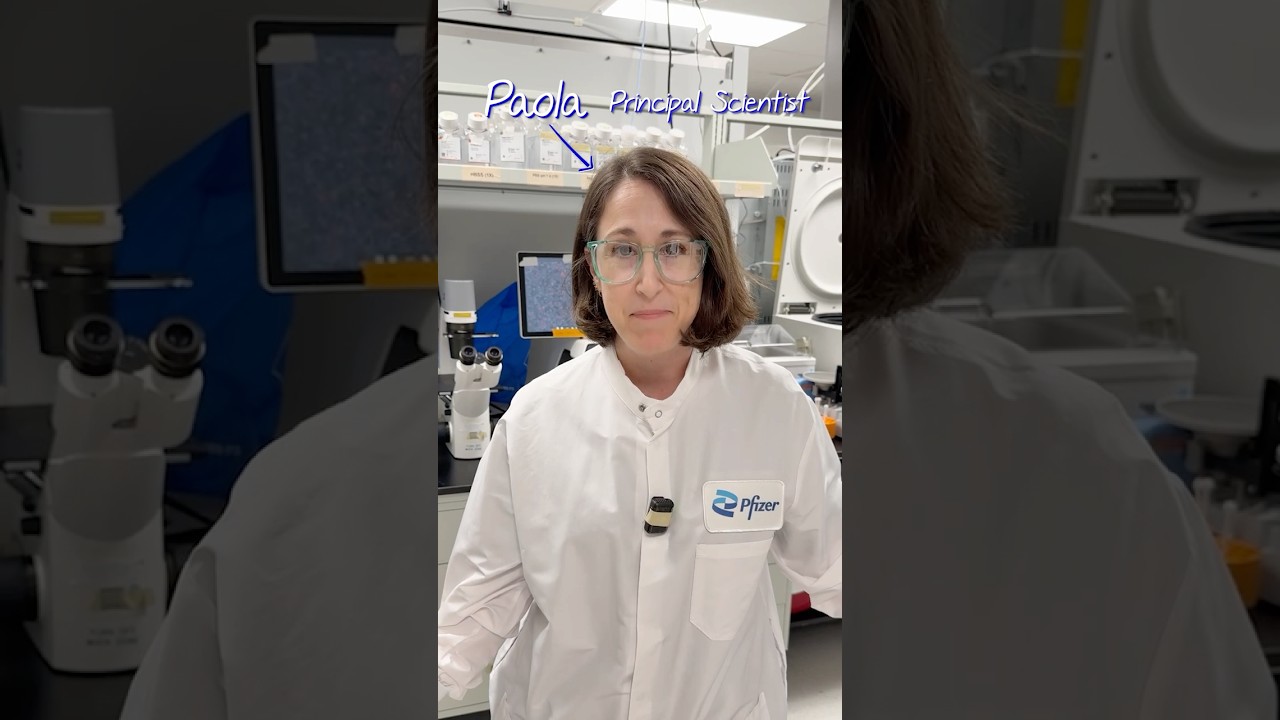 WIML Part 1: How T-cell engagers are tested in the lab