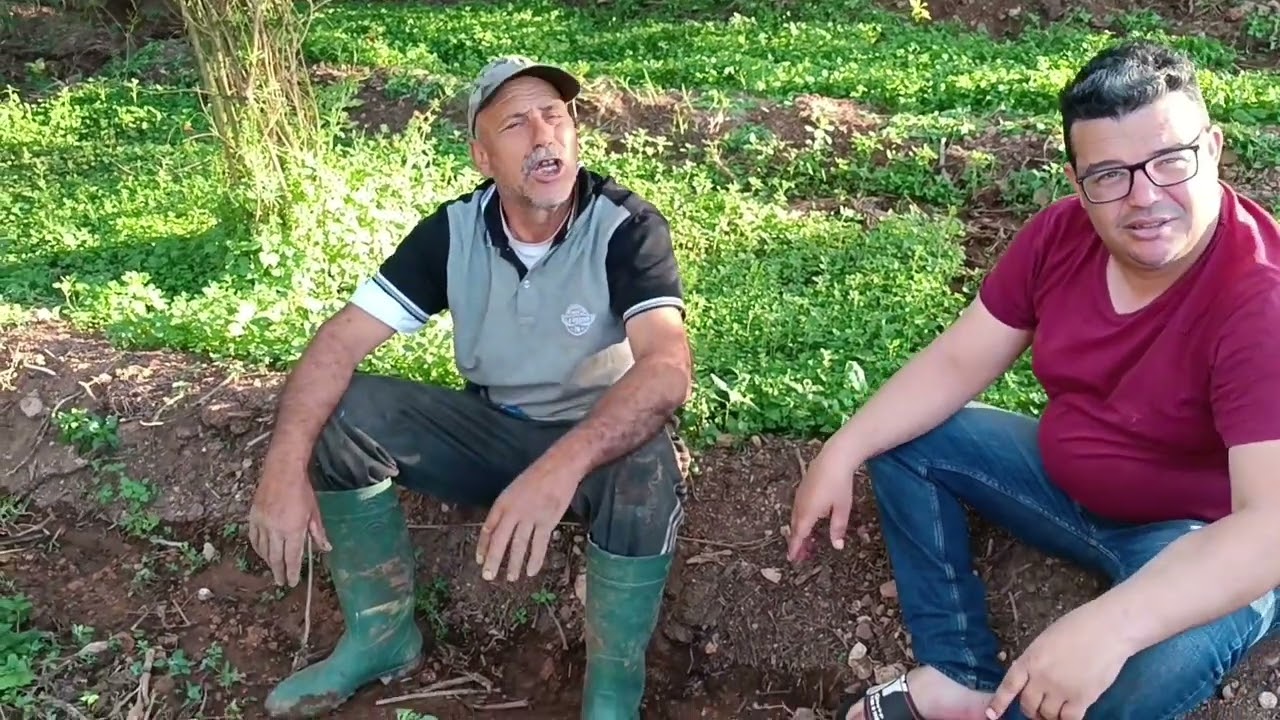دخلو نضحكو شوية مع عمي حماد قبل لفطور 🤣