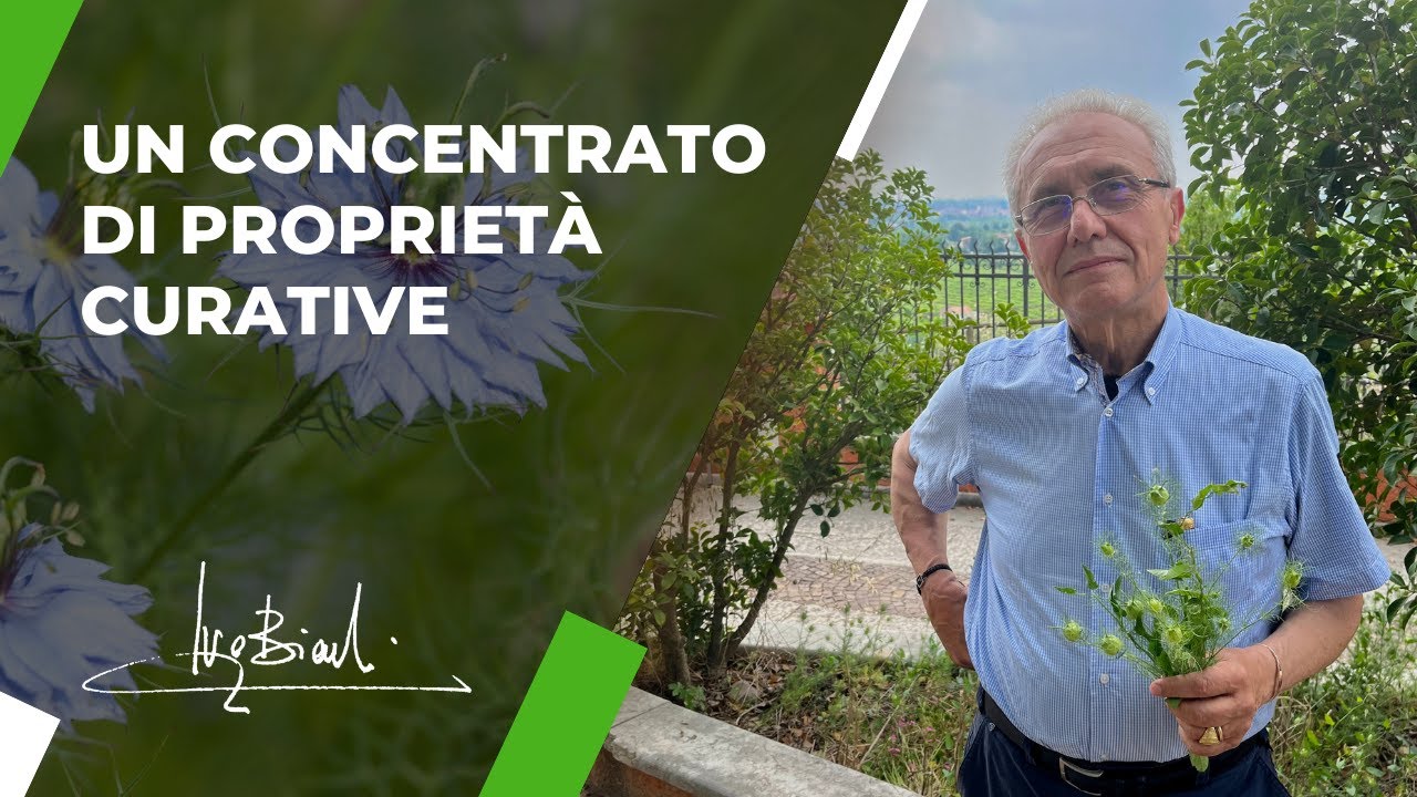 Una Pianta che 