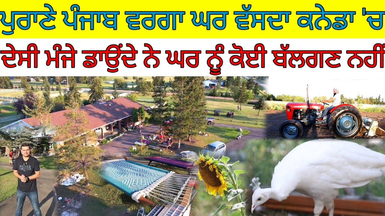 ਪੁਰਾਣੇ ਪੰਜਾਬ ਵਰਗਾ ਘਰ ਵੱਸਦਾ ਕਨੇਡਾ 'ਚ;ਦੇਸੀ ਮੰਜੇ ਡਾਉਂਦੇ ਨੇ ਘਰ ਨੂੰ ਕੋਈ ਬੱਲਗਣ ਨਹੀਂ|Harbhej Sidhu|Canada|