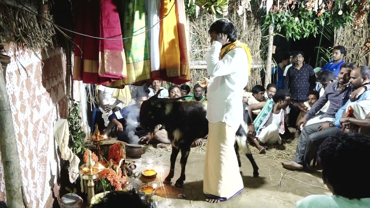 Rompivalasa Village,Nasara Rajarao Gavu sambaram (2020) s/o Nasara Dalaiah 🙌🙏 (KAKI KRISHNA)