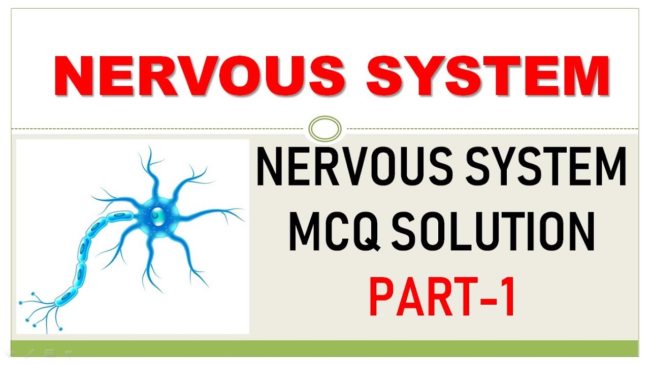 HUMAN ANATOMY : NERVOUS SYSTEM MCQ SOLUTION WITH EXPLANATION PART-1 FOR GPAT PHARMACIST DI NIPER