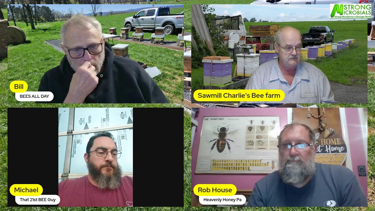 Bees All Day After the Virginia Conference