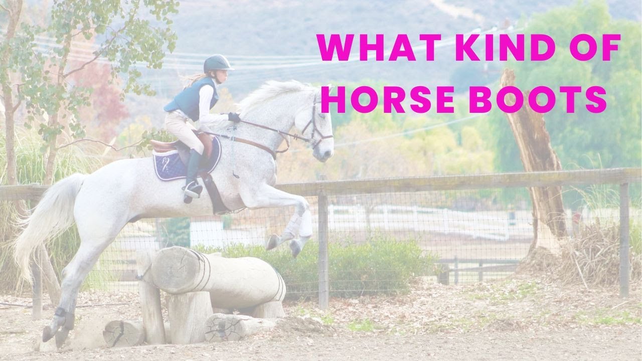 Essential Protective Horse Boots for English Rider #horseboots #ad #protectiveboots #boots