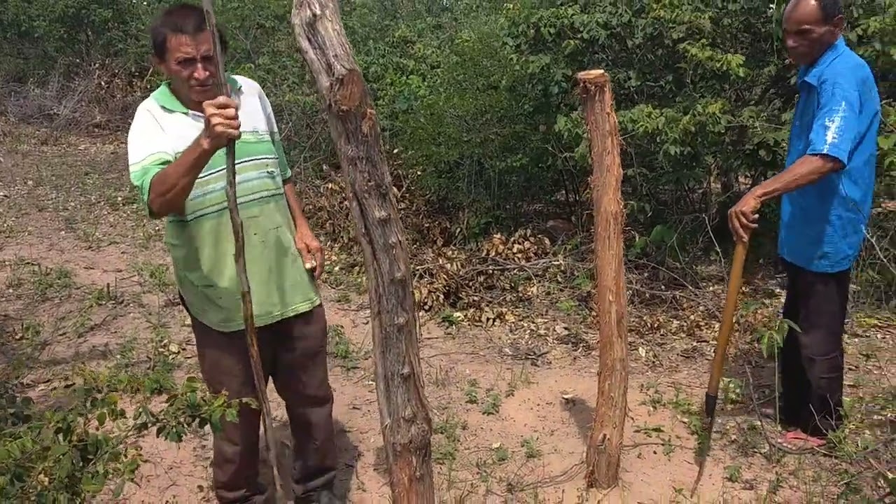 A FAMOSA BRAÇA DE MEDIR CERCA, FOMOS CONFERIR O VARIANTE