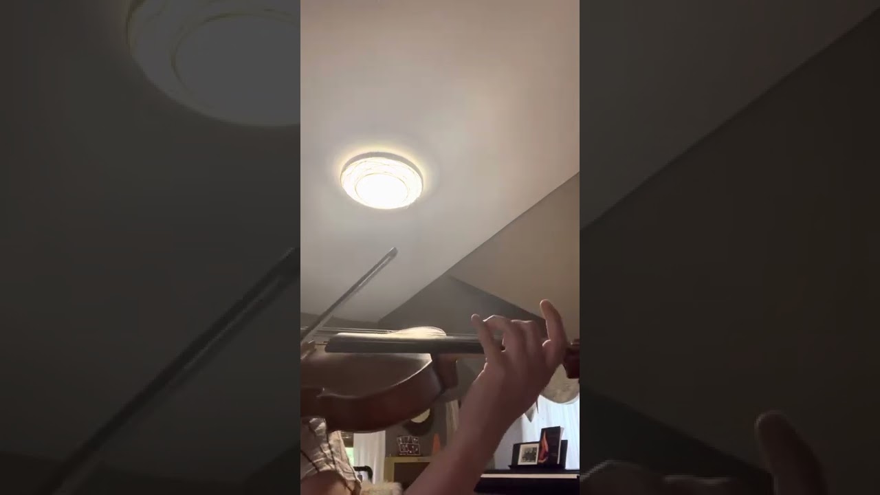 Mazas 6 Viola spots